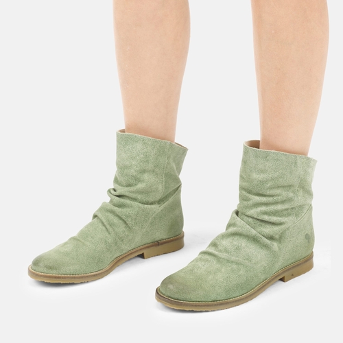 CLASH 8114 NOUMERAT PALM