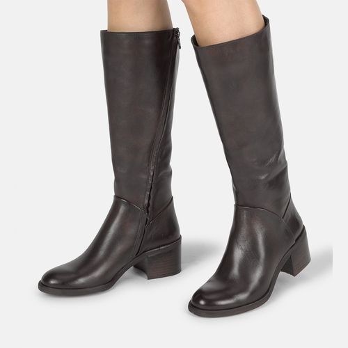 MIRA-D946-ANILEX-JAVA - MIRA - 5601352649517