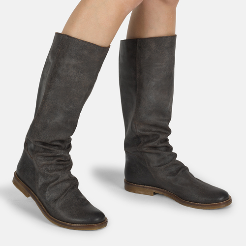 RENOIR-7584-ZENIA-ALCE